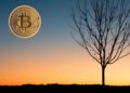 Richard Branson ondersteunt Bitcoin met Space Travel
