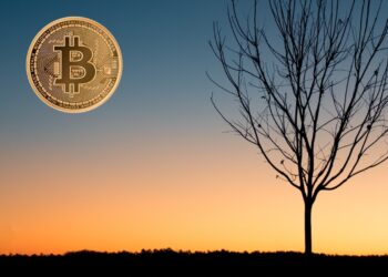 Richard Branson ondersteunt Bitcoin met Space Travel