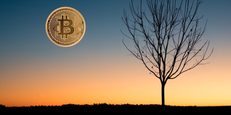 Richard Branson ondersteunt Bitcoin met Space Travel