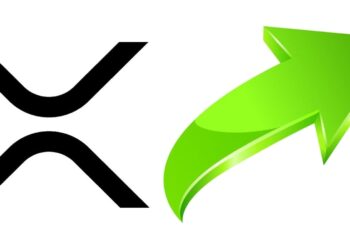 Grote Ripple koersstijging