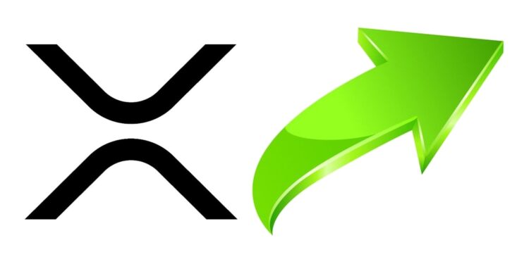 Grote Ripple koersstijging