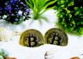 The Bitcoin crypto snowball