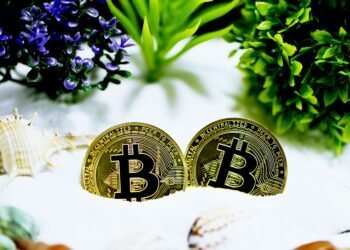 The Bitcoin crypto snowball